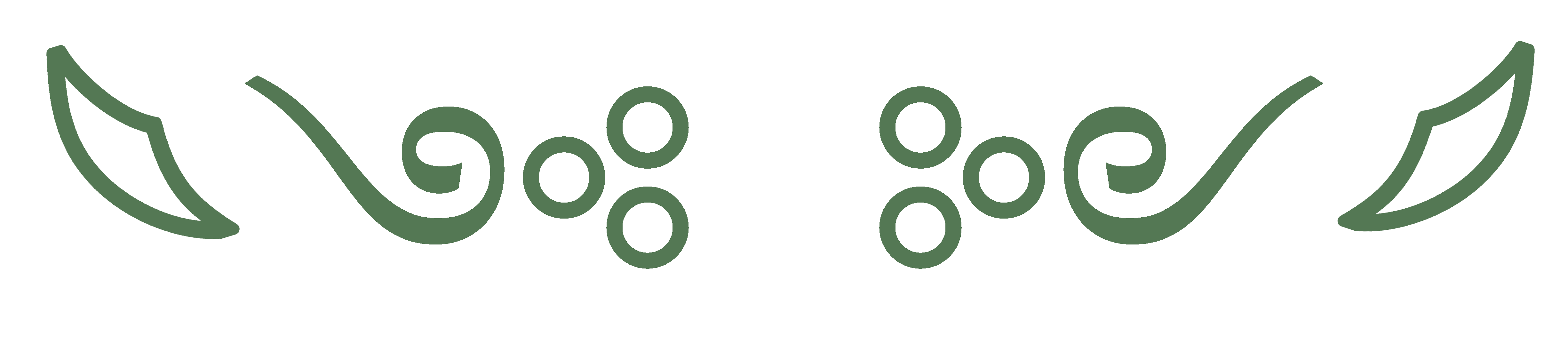Intro Fancy Border