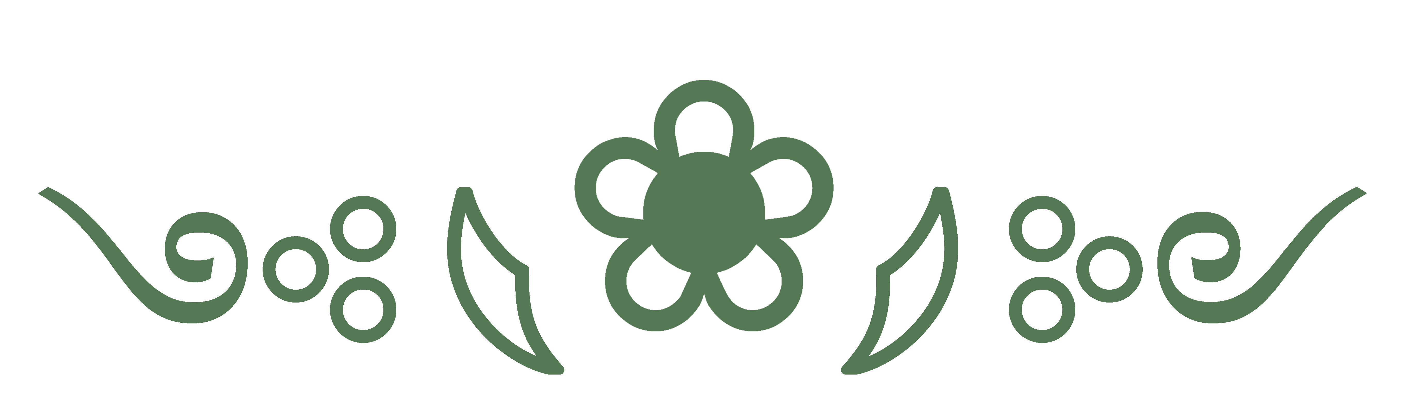 Intro Fancy Border