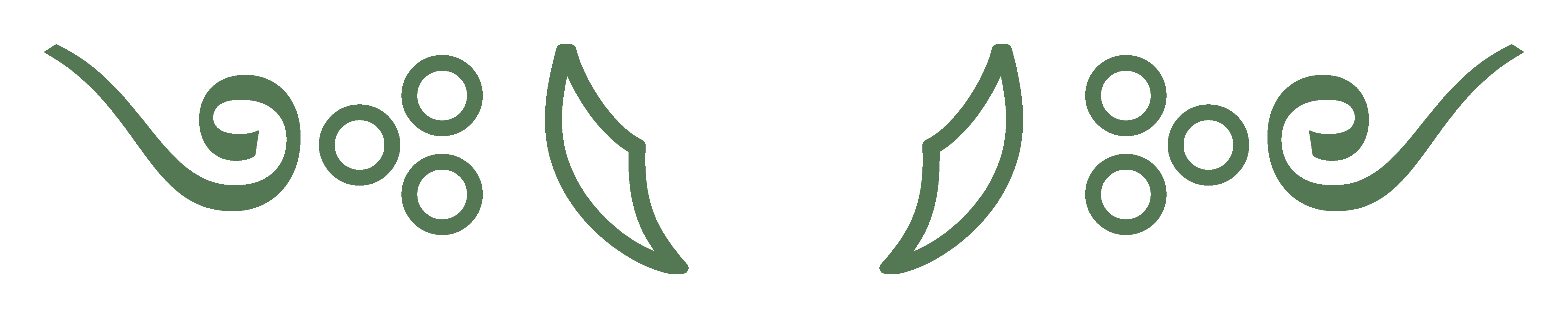 Intro Fancy Border